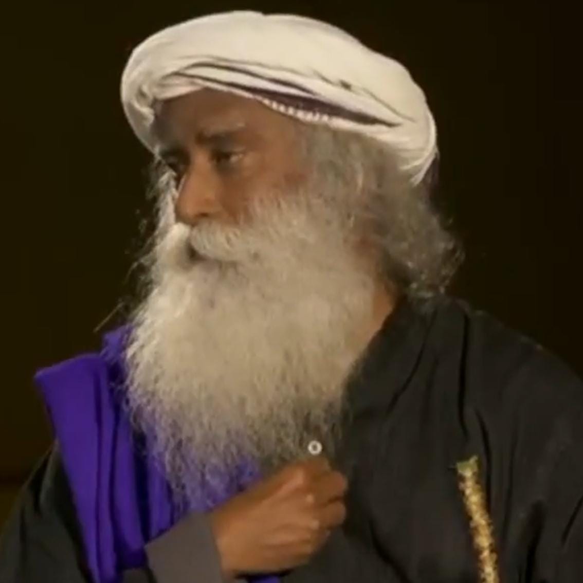 Pflanze einen Mangobaum